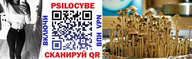 Галлюциногенные грибы ЛСД Новотитаровская