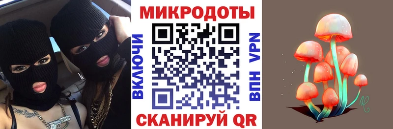 Галлюциногенные грибы Psilocybine cubensis  Новотитаровская 